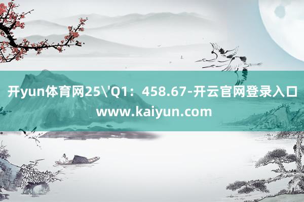开yun体育网25'Q1：458.67-开云官网登录入口 www.kaiyun.com